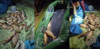 Dosar penal pe numele unui tânăr din Olt, pentru braconaj piscicol