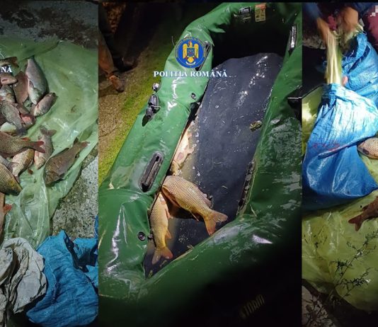 Dosar penal pe numele unui tânăr din Olt, pentru braconaj piscicol