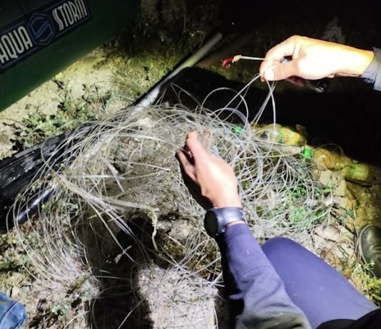 254 de sancțiuni și aproape 150 de misiuni pentru combaterea braconajului piscicol in Olt