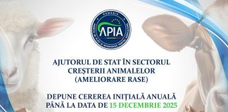 15 decembrie – Termen-limită pentru cererile inițiale de ajutor de stat în sectorul creşterii animalelor