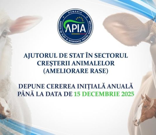 15 decembrie – Termen-limită pentru cererile inițiale de ajutor de stat în sectorul creşterii animalelor