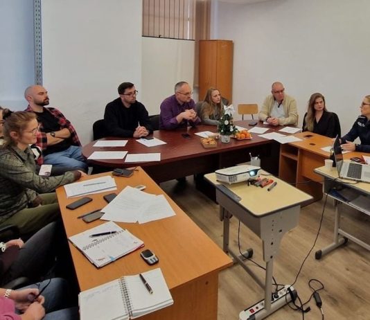 Violența domestică – de la analiză la soluții