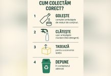 Reciclarea începe cu o sortare corectă a ambalajelor