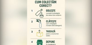 Reciclarea începe cu o sortare corectă a ambalajelor