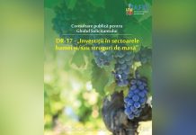 Consultare publică pentru finanțarea investițiilor în sectoarele strugurilor de masă și/ sau hamei