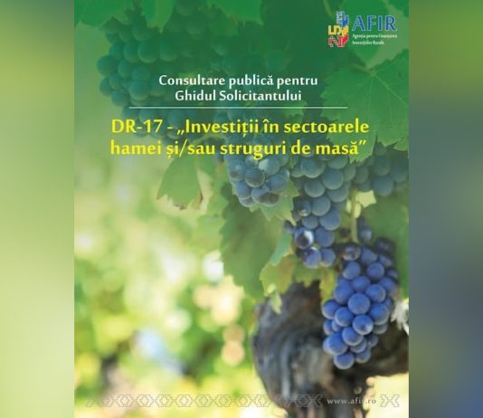 Consultare publică pentru finanțarea investițiilor în sectoarele strugurilor de masă și/ sau hamei
