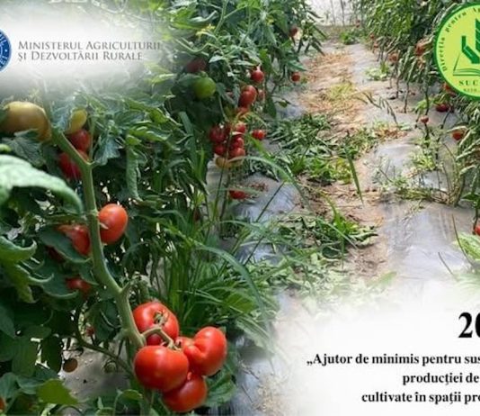 AJUTOR DE MINIMIS PENTRU SUSTINEREA PRODUCTIEI DE LEGUME CULTIVATE IN SPATII PROTEJATE – 2026