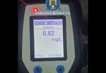 LA VOLAN, BĂUT ȘI FĂRĂ PERMIS