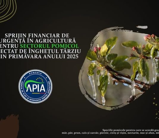 Sprijin financiar de urgență pentru sectorul pomicol afectat de înghețul târziu din primăvara anului 2025