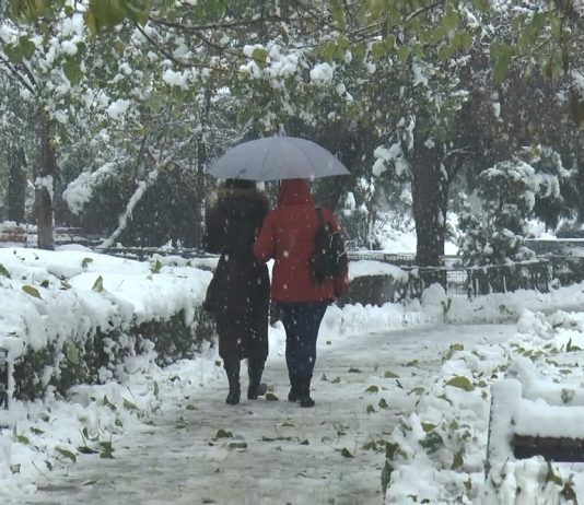 S-A ÎNREGISTRAT AL PATRULEA DECES PRIN GRIPĂ DIN ACEST SEZON