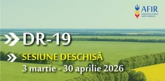 200.000 € pentru fermierii care doresc înființarea perdelelor naturale de protecție pentru culturile agricole