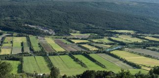 Informare privind schimbarea categoriei de folosință a terenurilor agricole situate în extravilan