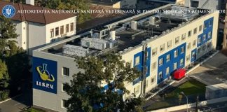ANSVSA întărește sistemul de siguranță alimentară din România
