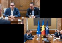 Oportunitățile de investiții în sectorul producției alimentare și promovarea producătorilor români pe piețele europene