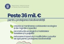 Peste 36 mil. de euro pentru protejarea biodiversitatii