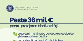 Peste 36 mil. de euro pentru protejarea biodiversitatii