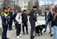 ACȚIUNI PENTRU SIGURANȚA ELEVILOR ÎN ȘCOLI