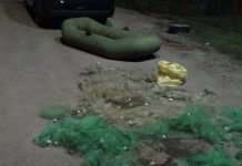 BRACONAJ PE RÂUL OLT – BĂRBATUL A ÎNCERCAT SĂ FUGĂ LA VEDEREA JANDARMILOR