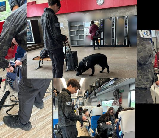 ACȚIUNE PENTRU PREVENIREA CRIMINALITĂȚII ÎN TRANSPORTUL FEROVIAR