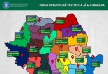 Guvernul a aprobat Hotărârea privind reorganizarea Romsilva