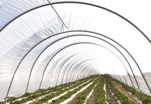 Ghidul solicitantului pentru DR-12 este publicat acum în consultare publică pe www.afir.ro.