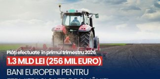 Peste 1,3 miliarde de lei plătite în primul trimestru al anului 2026!
