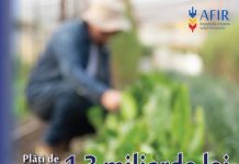 1,3 miliarde de lei transferați de AFIR în conturile beneficiarilor