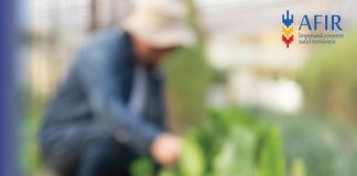 1,3 miliarde de lei transferați de AFIR în conturile beneficiarilor