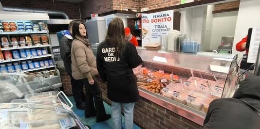 Garda Națională de Mediu: Traseul peștelui, monitorizat de la sursă până pe masa românilor