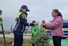 ACTIVITĂȚI PENTRU SIGURANȚA ELEVILOR ȘI PROTECȚIA MEDIULUI , ÎN CADRUL PROGRAMULUI „SĂPTĂMÂNA VERDE”