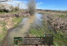 OPERATOR ECONOMIC AMENDAT CU 6000 DE LEI DE GNM OLT