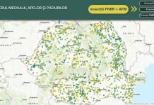 Acum, poți vedea în timp real unde merg banii pentru mediu