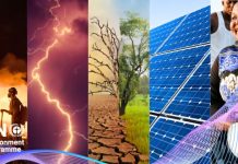 Ziua Mondială a Mediului 2026: apel global pentru acțiune climatică și protejarea naturii