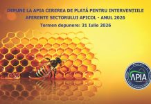 Apicultorii pot depune Cereri de plată pentru intervențiile din sectorul apicol 2026