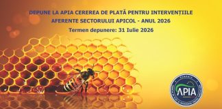 Apicultorii pot depune Cereri de plată pentru intervențiile din sectorul apicol 2026