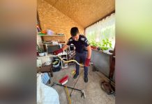 ȘARPE CAPTURAT ȘI ELIBERAT ÎN MEDIUL NATURAL DE JANDARMII OLTENI