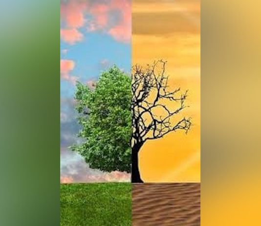 Schimbările climatice, în centrul activităților dedicate Zilei Mondiale a Mediului.