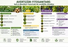 Informare fitosanitara: conditiile climatice pot favoriza aparitia unor boli si daunatori la culturile agricole