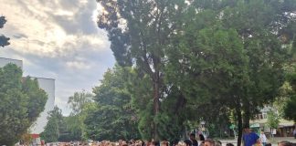 Federația SANITAS: Guvernul Bolojan nu-și dorește un sistem public de sănătate funcțional și corect cu angajații și cu cetățenii acestei țări