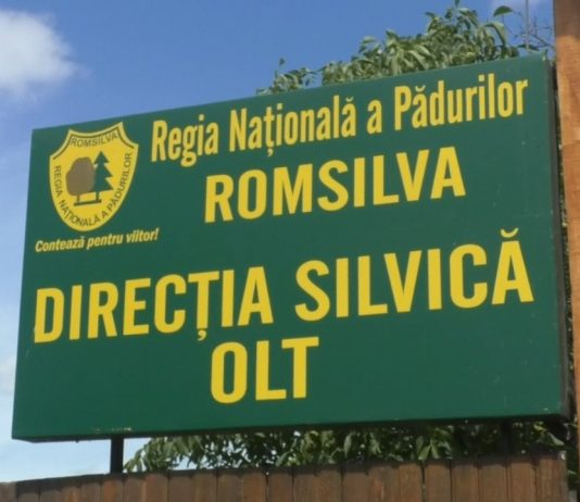 PLANTE MEDICINALE VÂNDUTE DE DIRECȚIA SILVICĂ