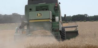UNA DINTRE CELE MAI BUNE PRODUCȚII DE GRÂU DIN ULTIMII ANI