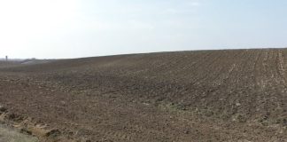 MII DE HECTARE DE TEREN DIN OLT, MONITORIZATE ANUAL