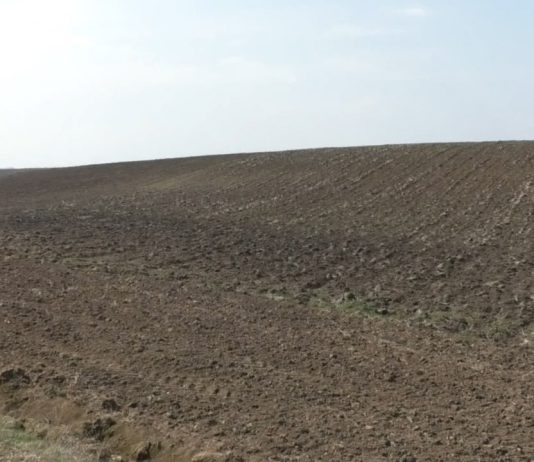 MII DE HECTARE DE TEREN DIN OLT, MONITORIZATE ANUAL