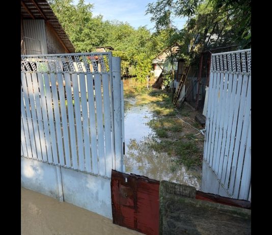 Ploile torențiale au inundat gospodării din Olt. ISU a intervenit în 6 localități