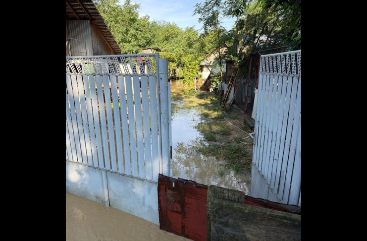 Ploile torențiale au inundat gospodării din Olt. ISU a intervenit în 6 localități