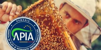 31 IULIE – TERMEN LIMITĂ DE DEPUNERE A DOCUMENTAȚIILOR LA APIA
