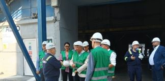 Mădălina Vale: „Industria din Slatina trebuie sprijinită”