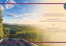 APIA deschide finanțările pentru producătorii vitivinicoli