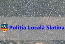 Iubirea pentru animale înseamnă și responsabilitate