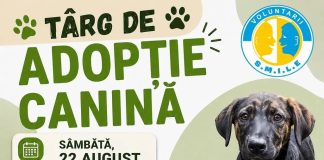 Târg de adopție canină la Slatina